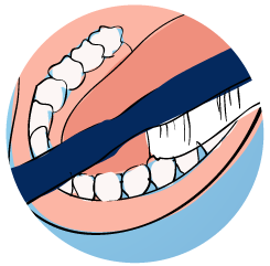 Spagnolo-Dental-Prevencion-04